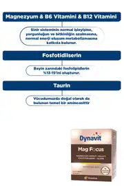 Dynavit® Mag Focus 6